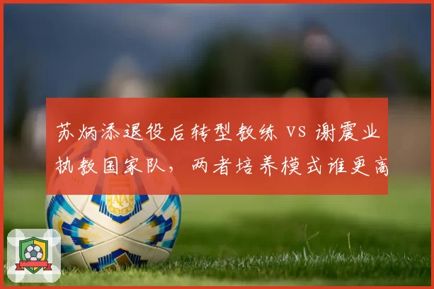 苏炳添退役后转型教练 vs 谢震业执教国家队，两者培养模式谁更高效
