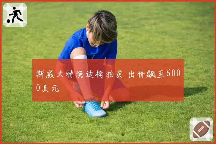 斯威夫特场边椅拍卖 出价飙至6000美元