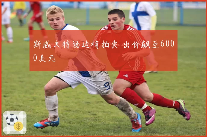 斯威夫特场边椅拍卖 出价飙至6000美元