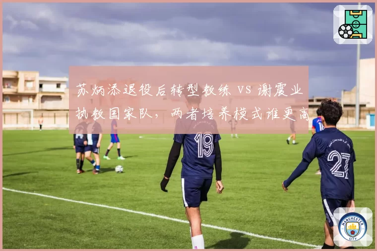 苏炳添退役后转型教练 vs 谢震业执教国家队，两者培养模式谁更高效