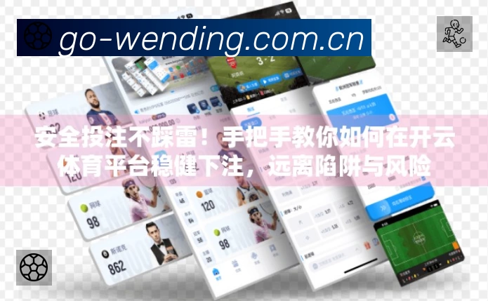 安全使用与支持流程
